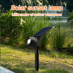 Outdoor Solar Powered Garden Lamp Waterproof Night Lamp Supplier